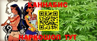 сатива Аргун