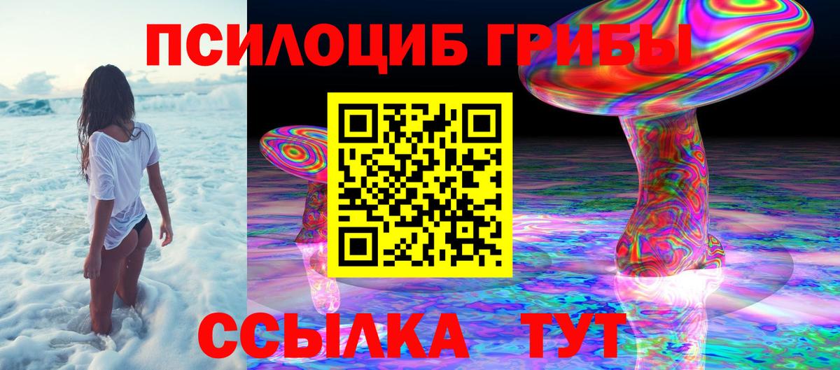 Галлюциногенные грибы прущие грибы  Вход с VPN  Елизово 