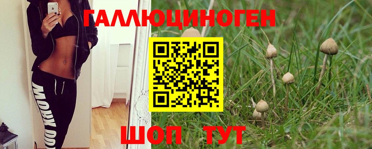Галлюциногенные грибы MAGIC MUSHROOMS Елизово
